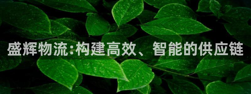 usdt二维码骗局