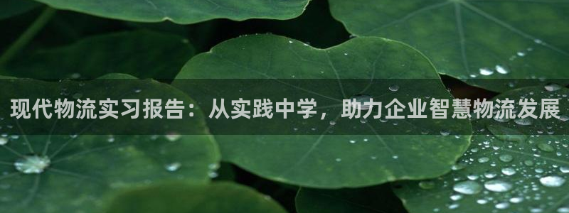怎么提现usdt