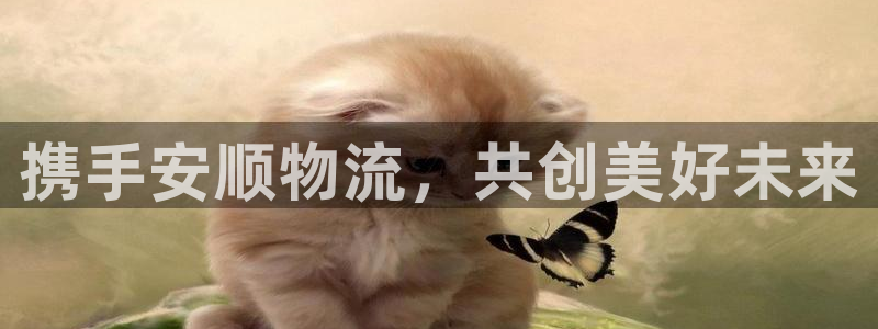 usdt钱包地址在哪里