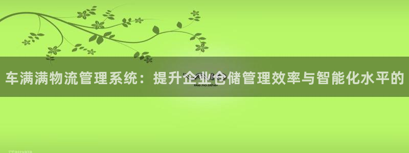 usdt钱包号和钱包别名怎么看