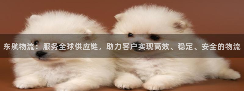 usdt钱包APP下载及新手教程