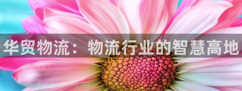 usdt二维码骗局