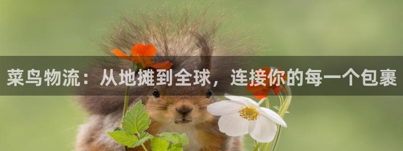 usdt违法么