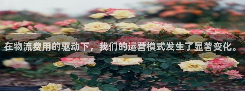 usdt怎么转busd