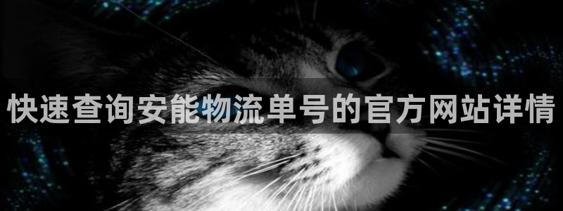 usdt在中国合法么