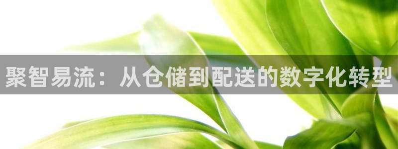 usdt官方娱乐