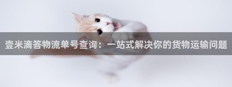 钱包usdt如何跨链转账