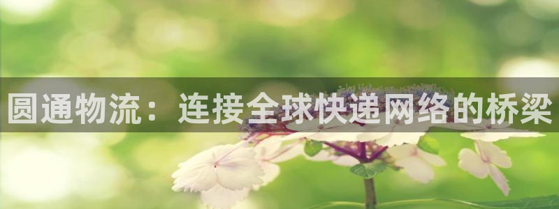 usdt代码