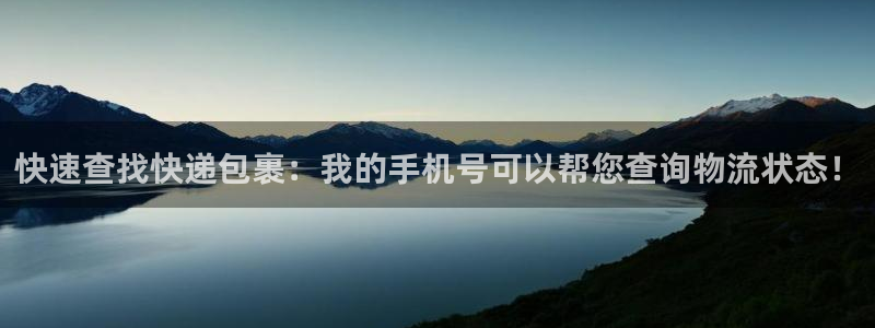 usdt钱包被盗怎么办：快速查找快递包裹：我的手机号可以帮您
