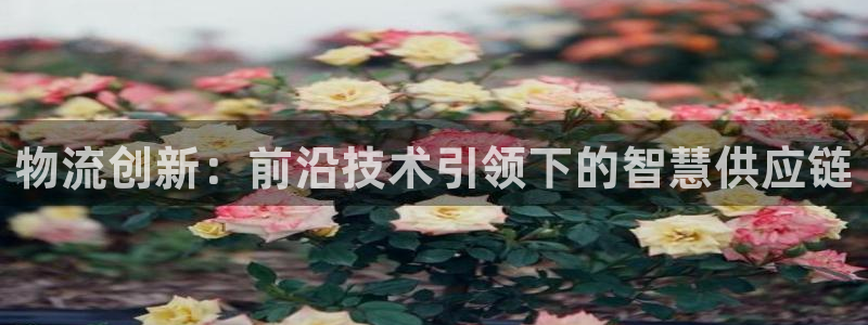 usdt购物网站