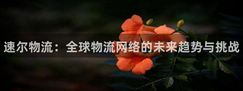 usdt买卖算犯法吗：速尔物流：全球物流网络的未来趋势与挑战