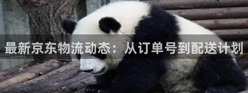 usdt违法么