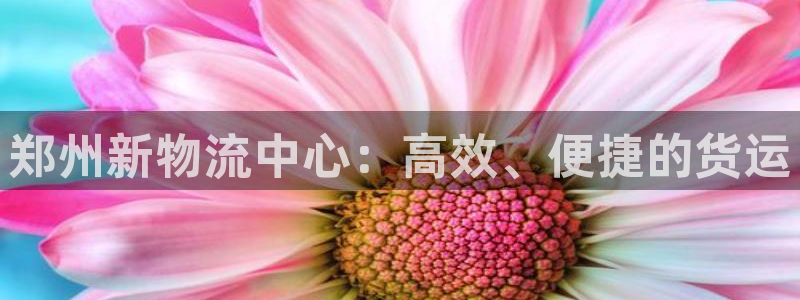 手机usdt钱包