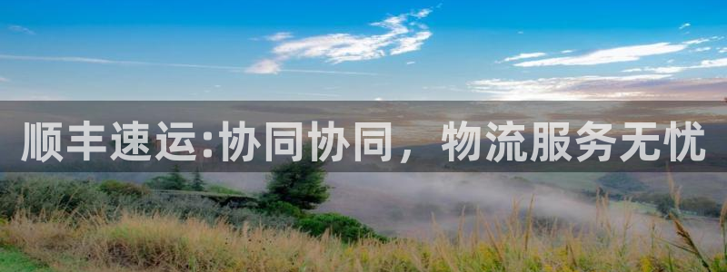 usdttrc20钱包提现