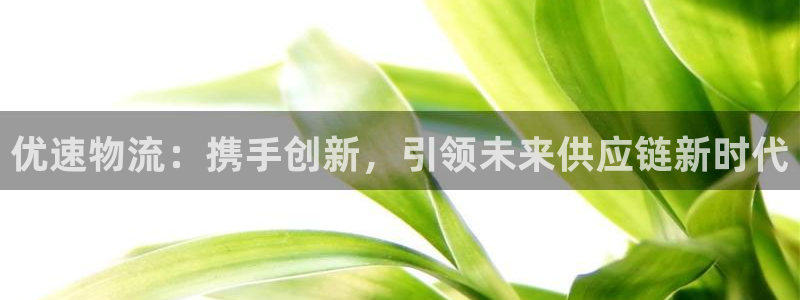 usdt钱包开发：优速物流：携手创新，引领未来供应链新时代