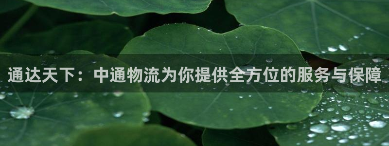 usdt被骗能找回来吗