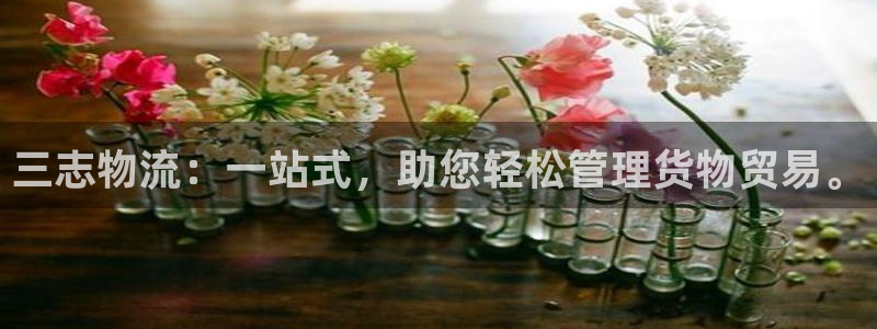 usdt钱包id怎么看